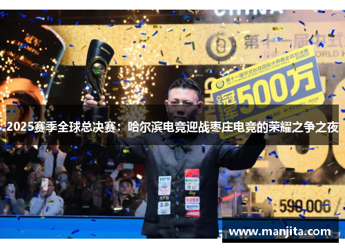2025赛季全球总决赛：哈尔滨电竞迎战枣庄电竞的荣耀之争之夜
